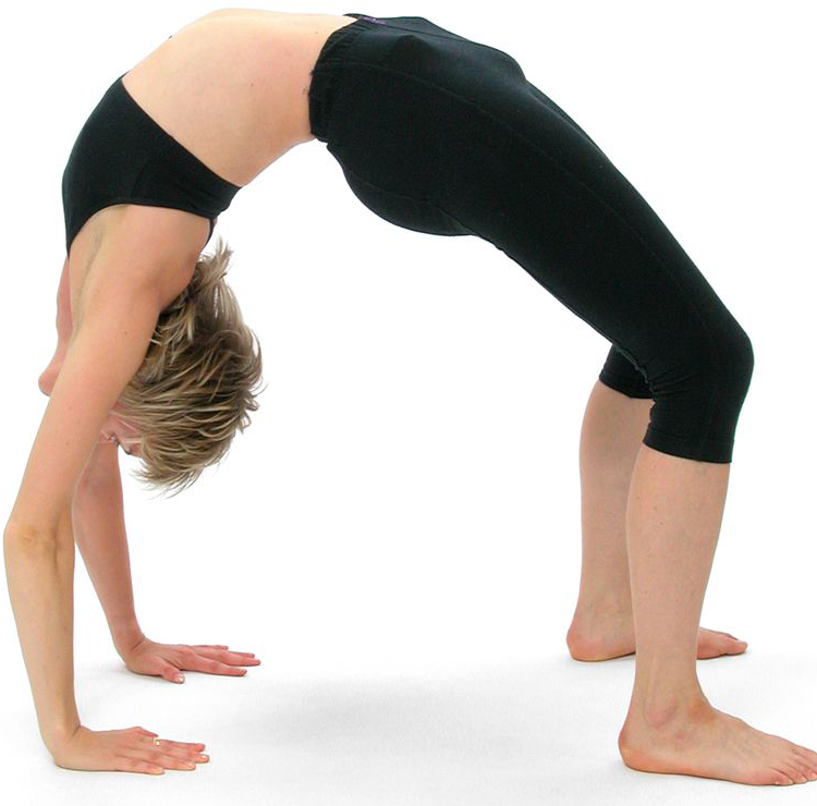 Posture de l'arc supérieur