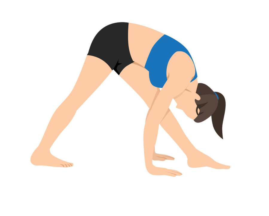 Flexion avant intense