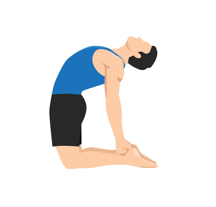 Ustrasana