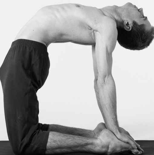 Ustrasana